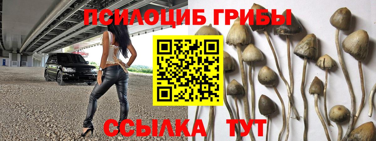 Кушва  Галлюциногенные грибы ЛСД  Вход с VPN  Галлюциногенные грибы Psilocybe 