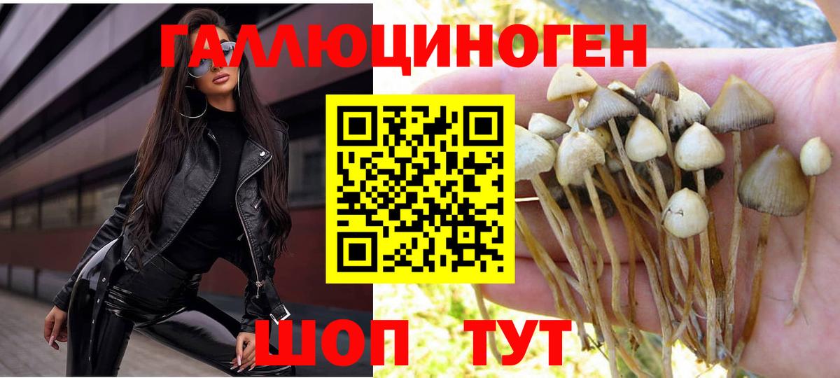 Галлюциногенные грибы Psilocybe Кушва